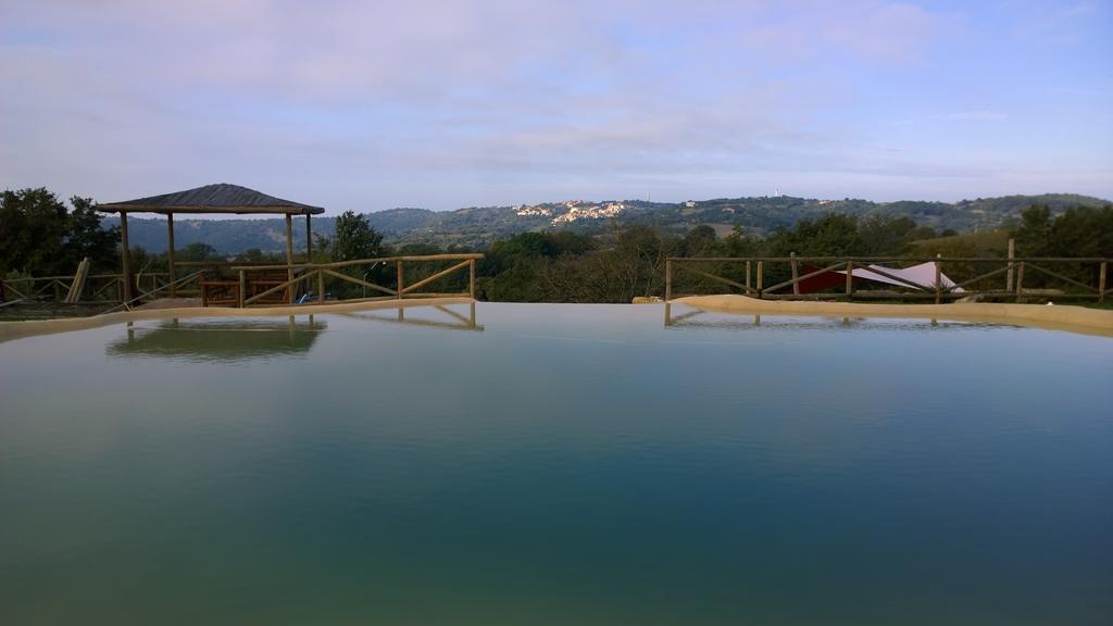 B&B Casale Di Poggioferro 斯坎萨诺 外观 照片