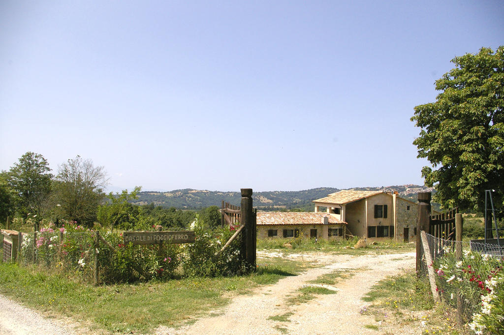 B&B Casale Di Poggioferro 斯坎萨诺 外观 照片